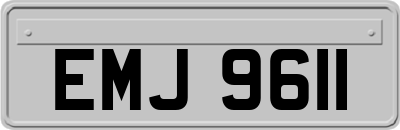 EMJ9611