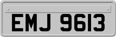 EMJ9613