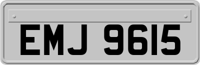 EMJ9615