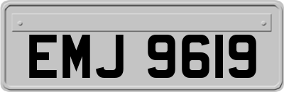 EMJ9619