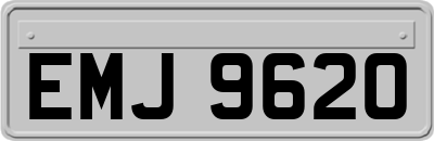 EMJ9620