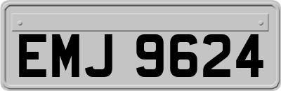 EMJ9624