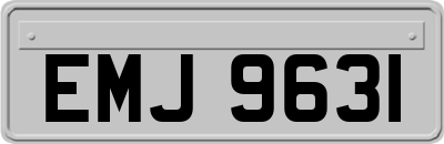 EMJ9631