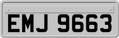 EMJ9663