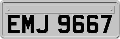 EMJ9667