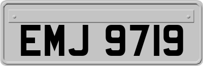 EMJ9719