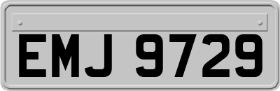 EMJ9729