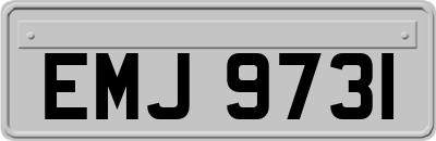 EMJ9731