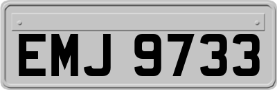 EMJ9733