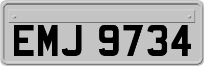 EMJ9734