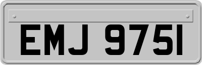 EMJ9751