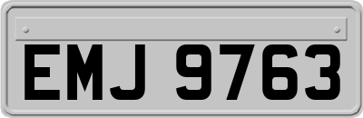 EMJ9763