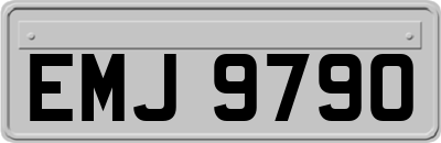 EMJ9790