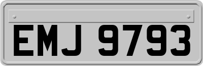 EMJ9793