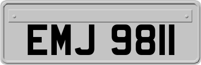 EMJ9811