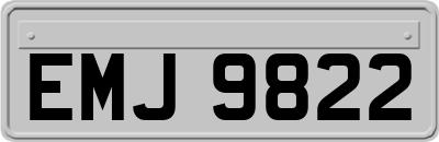 EMJ9822
