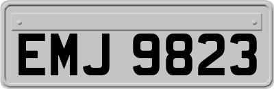 EMJ9823
