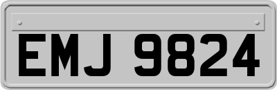 EMJ9824