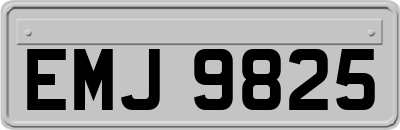 EMJ9825