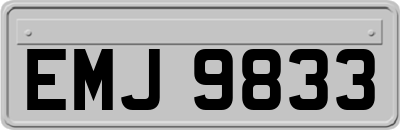 EMJ9833