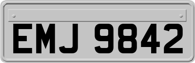 EMJ9842