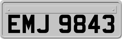 EMJ9843