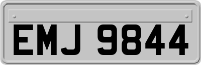 EMJ9844