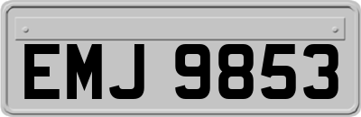EMJ9853