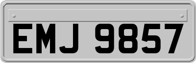 EMJ9857