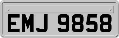 EMJ9858