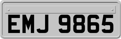 EMJ9865