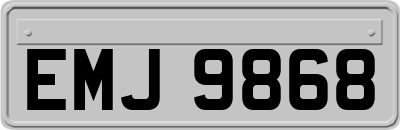 EMJ9868