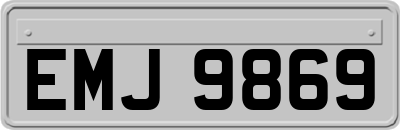 EMJ9869