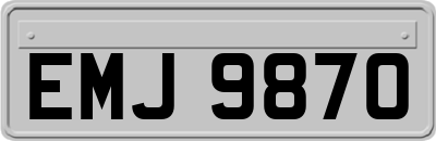EMJ9870