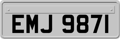 EMJ9871