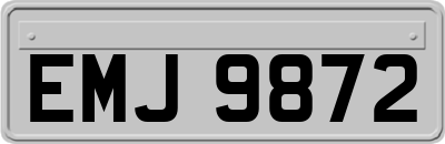 EMJ9872