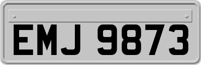 EMJ9873