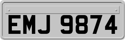 EMJ9874