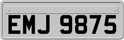 EMJ9875