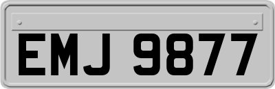 EMJ9877