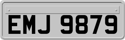 EMJ9879