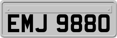 EMJ9880