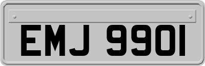 EMJ9901