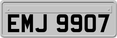 EMJ9907