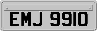 EMJ9910