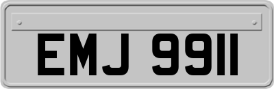 EMJ9911