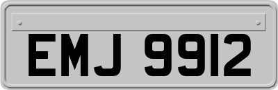 EMJ9912
