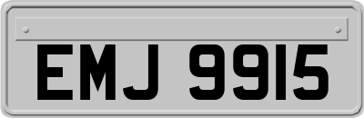 EMJ9915