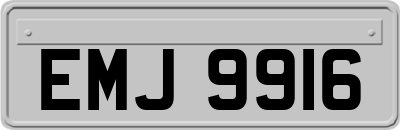 EMJ9916