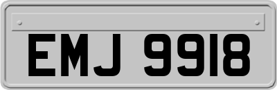 EMJ9918